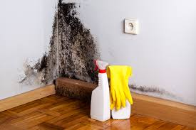 Best Biohazard Mold Removal in Myersville, MD